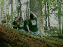 "I was sure they told us no trees over 4 logs in height."