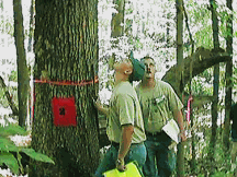 img125.gif img125.gif