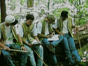 Forest Evaluation is the only team event during the contest.