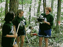 Forest Evaluation draws on everything you have learned.