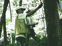 img133.gif img133.gif