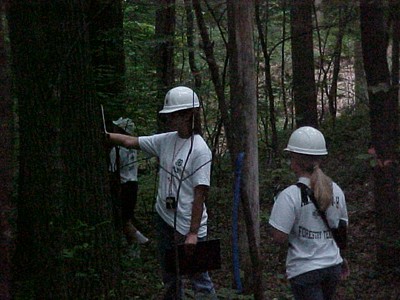 Forest_Evaluation_10.jpg