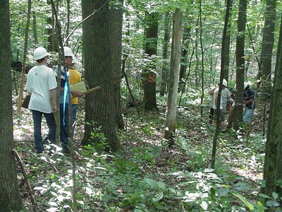 Forest_Evaluation_2.jpg