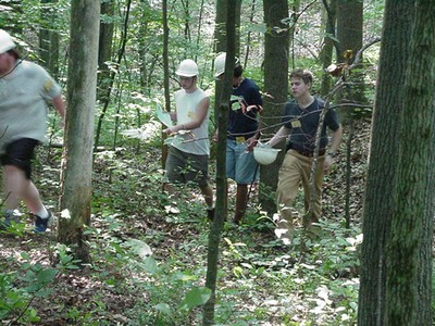 Forest_Evaluation_3.jpg