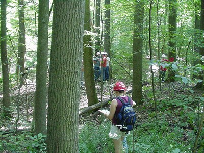Forest_Evaluation_6.jpg