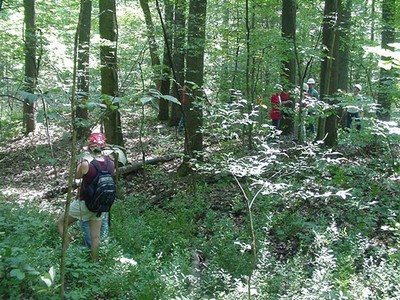 Forest_Evaluation_7.jpg