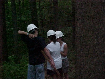 Forest_Evaluation_8.jpg