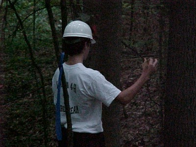 Forest_Evaluation_9.jpg
