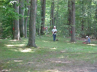 Tree_Measure_10.jpg