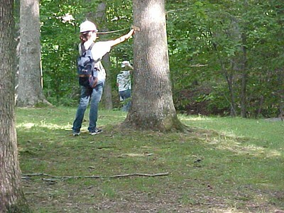 Tree_Measure_3.jpg