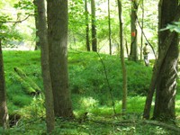 p1030292-1000.jpg