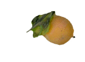 37Fruit.jpg