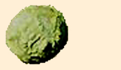51Fruit.jpg