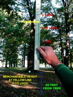 Merchantable Height of Tree
