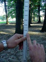 Scale Stick Closeup