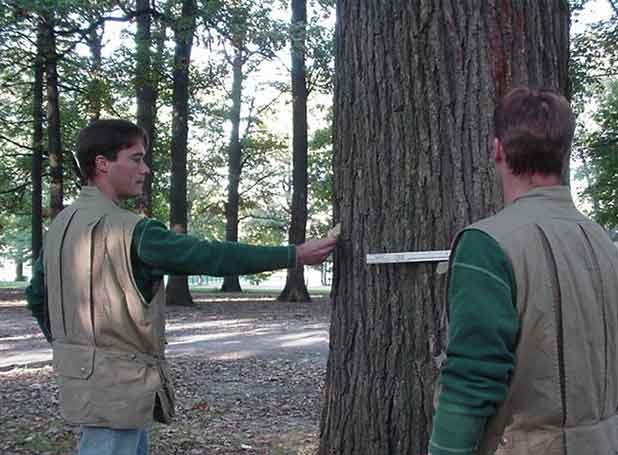 Two Measurements
